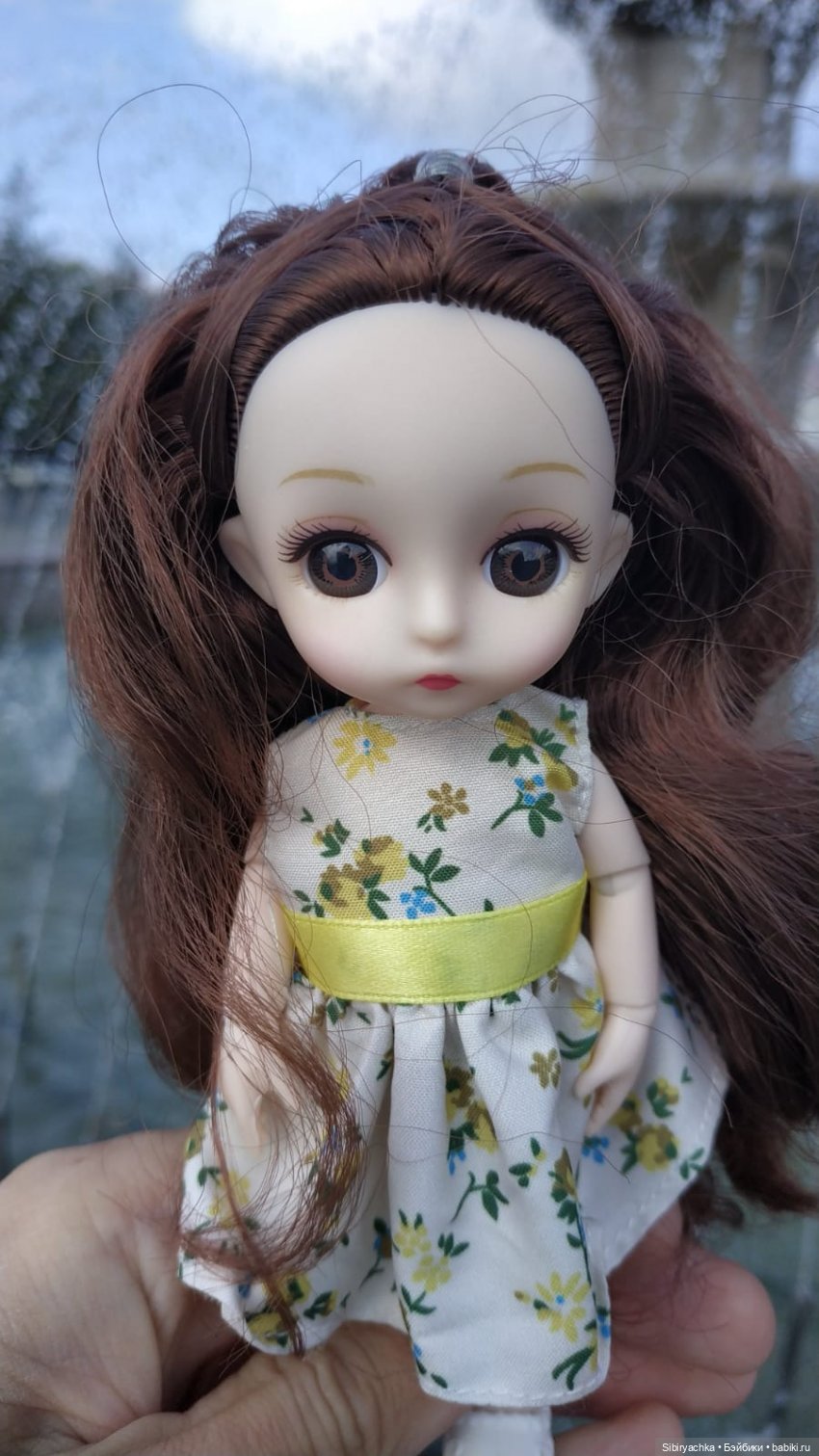 Глаша и Луша гуляют по Томску (фото 2)