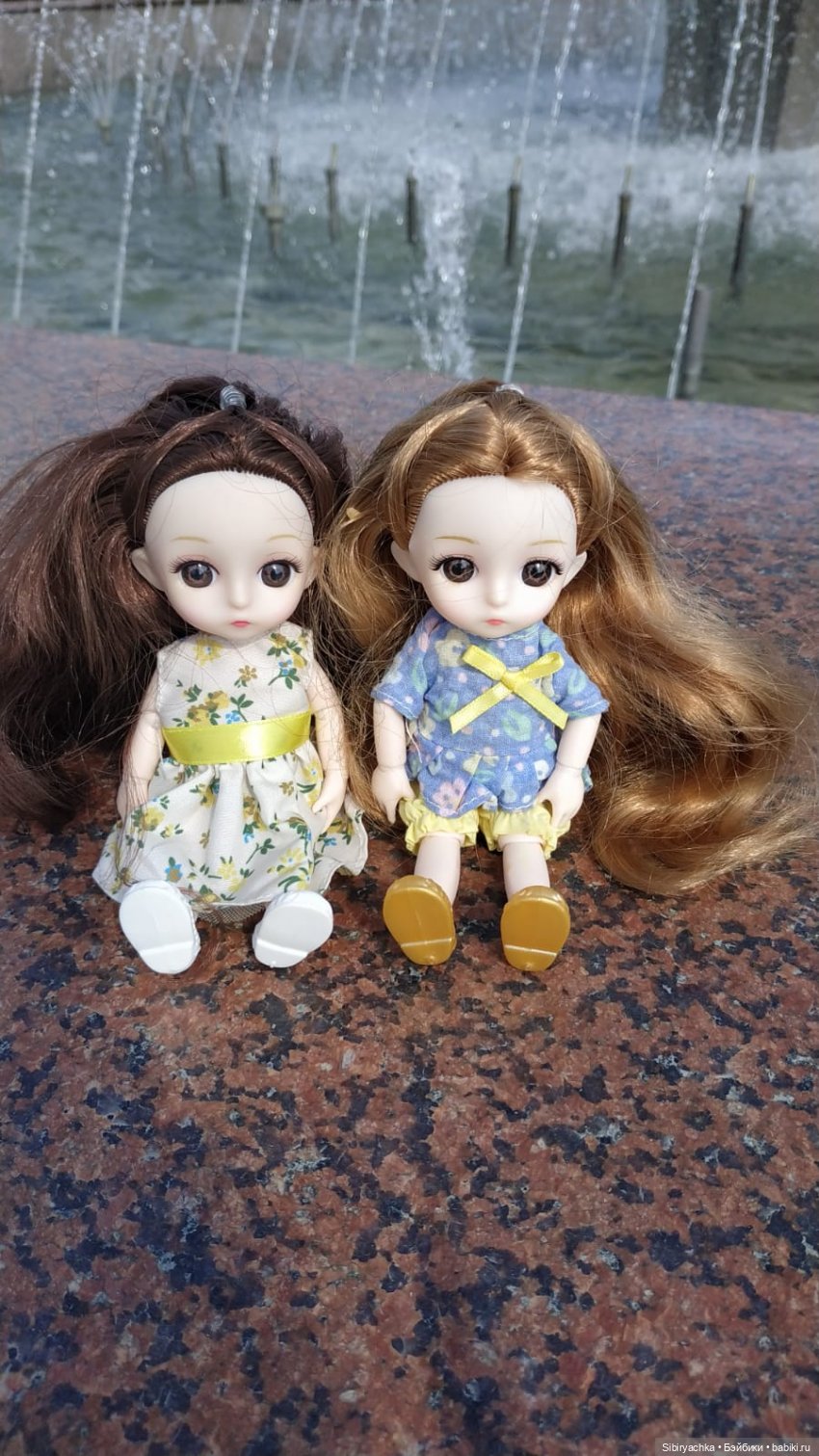 Глаша и Луша гуляют по Томску (фото 4)