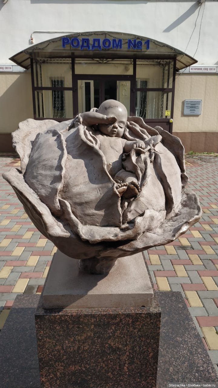 Глаша и Луша гуляют по Томску