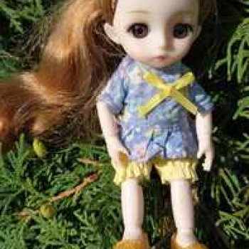 Глаша и Луша гуляют по Томску