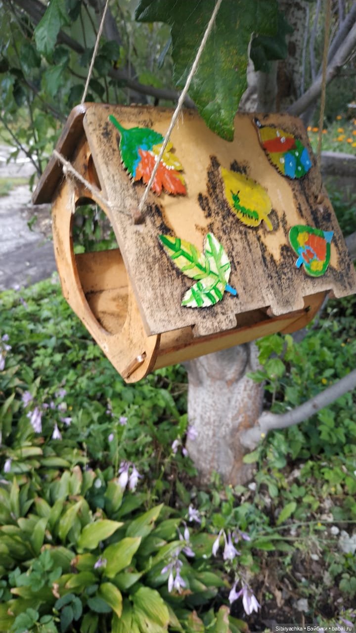 Как Коленька провёл первый день осени