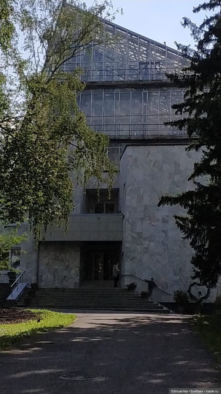 Как Коленька провёл первый день осени (фото 3)