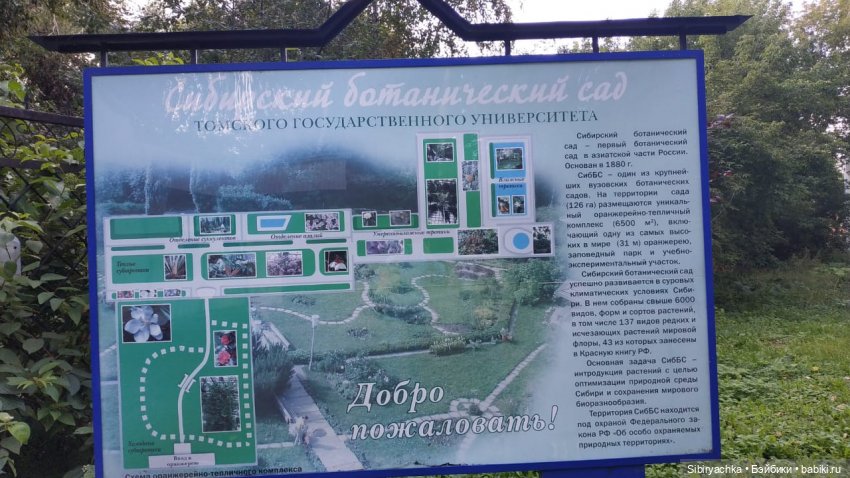 Как Коленька провёл первый день осени