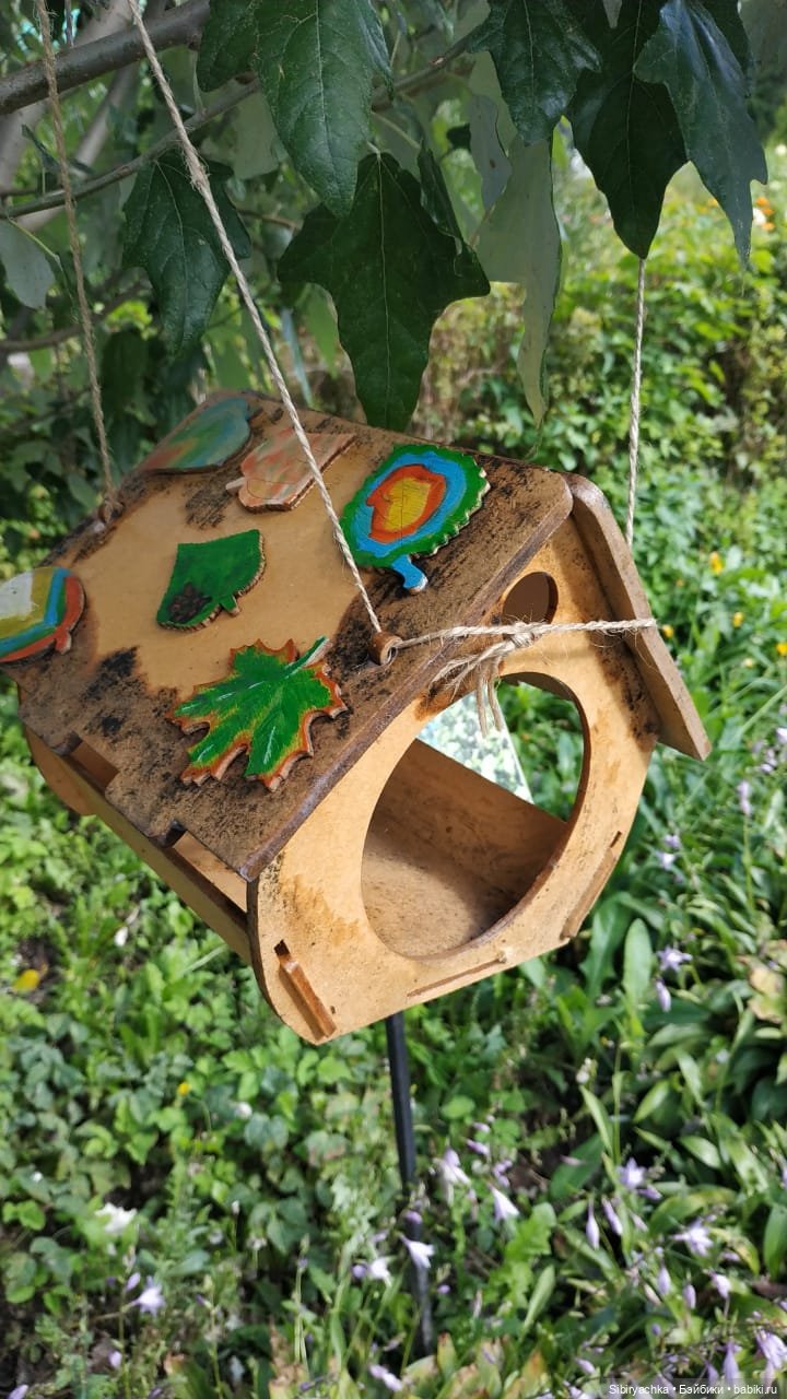 Как Коленька провёл первый день осени