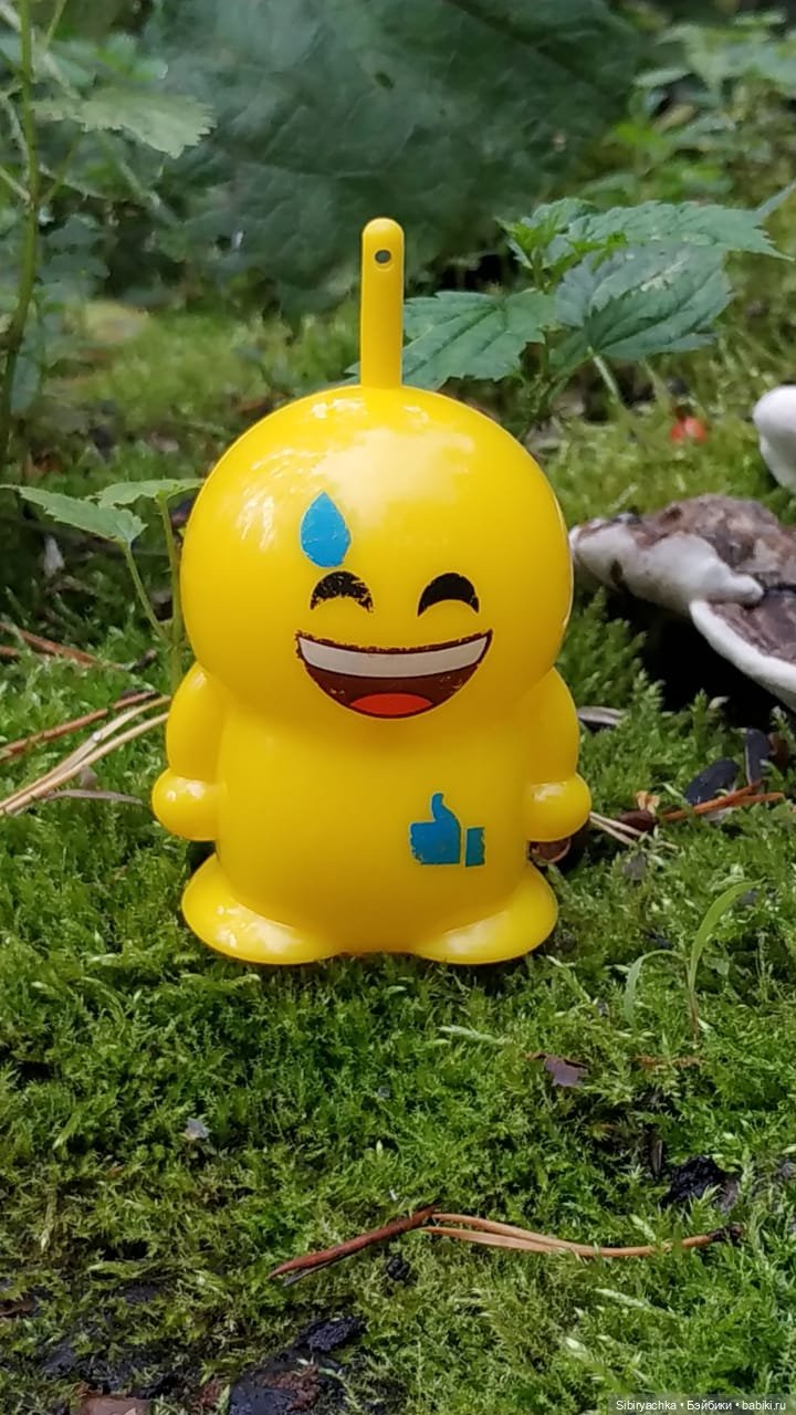 Приключения Коленьки в лесу