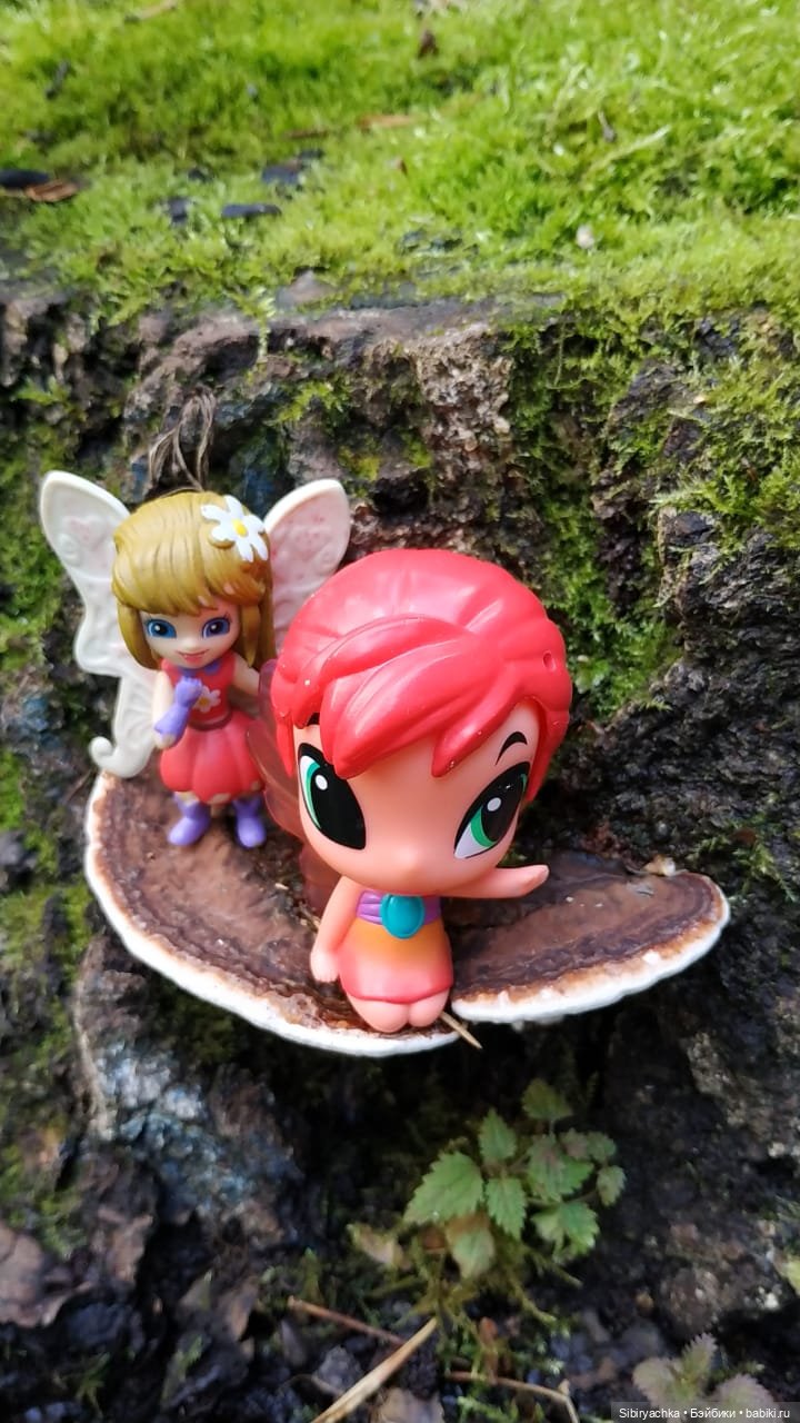 Приключения Коленьки в лесу