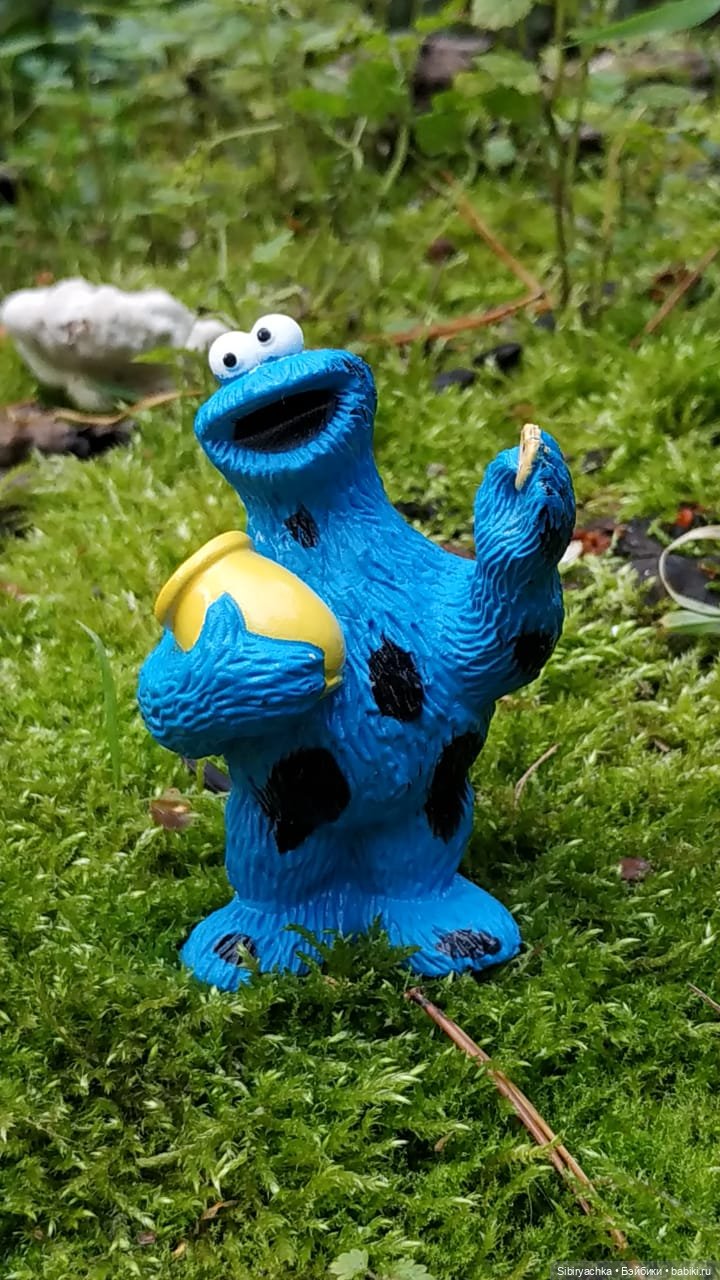 Приключения Коленьки в лесу