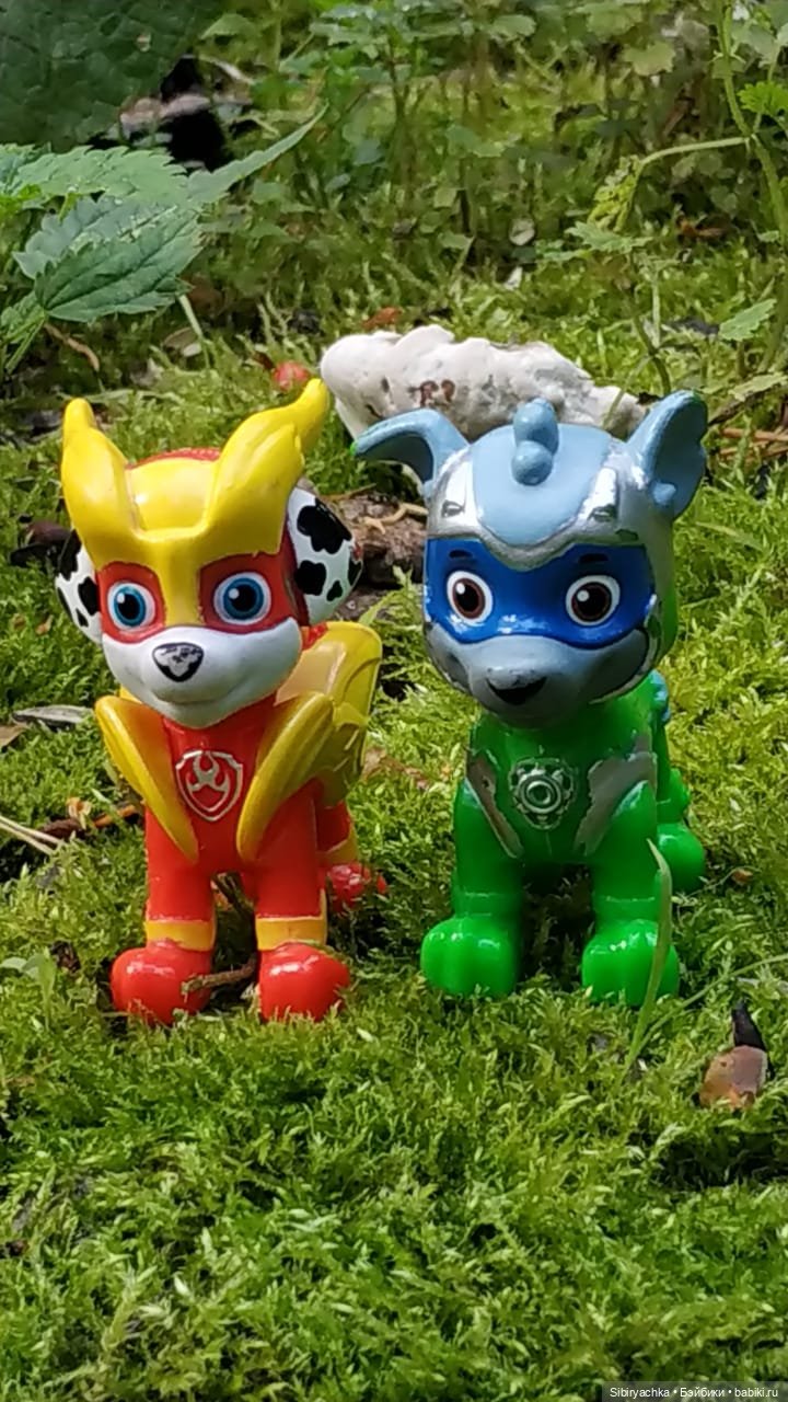 Приключения Коленьки в лесу (фото 9)