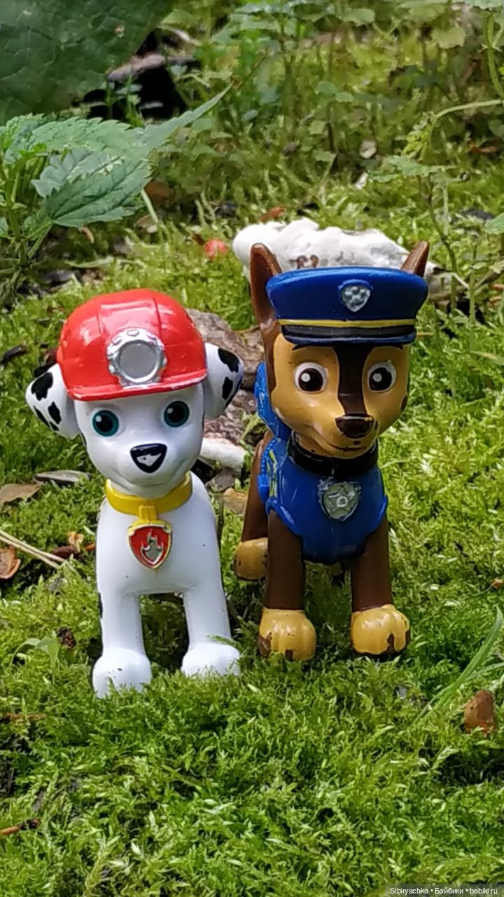 Приключения Коленьки в лесу (фото 8)