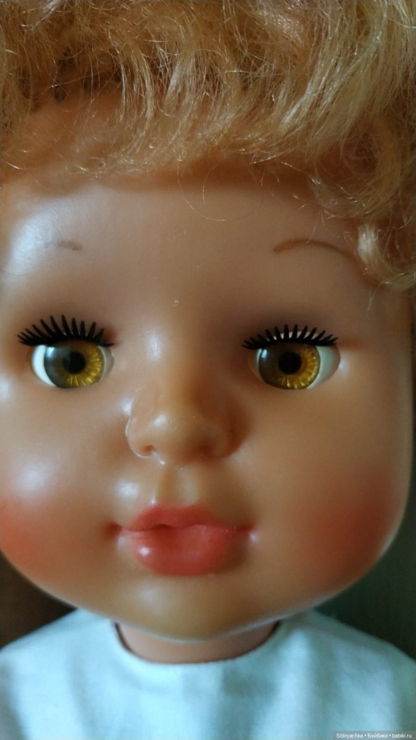 Рыжик с медовыми глазами из Днепропетровска (фото 3)