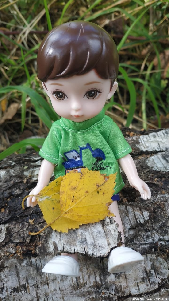 Прогулка в лесу — Игровые куклы разных производителей (Разное): редкие бренды