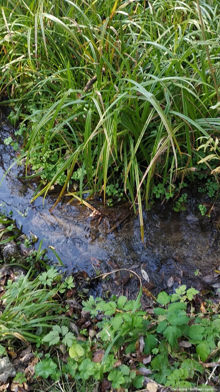 Девочки и миньоны — Игровые куклы разных производителей (Разное): редкие бренды (фото 5)