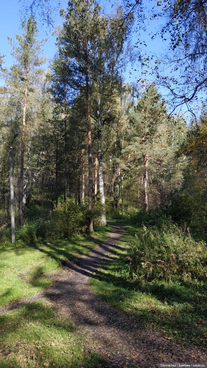 Девочки и миньоны — Игровые куклы разных производителей (Разное): редкие бренды (фото 6)