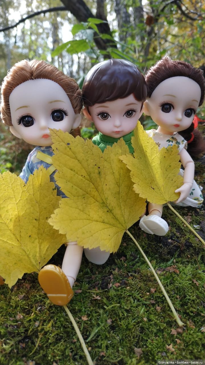 Осенний лес — Игровые куклы разных производителей (Разное): редкие бренды (фото 9)