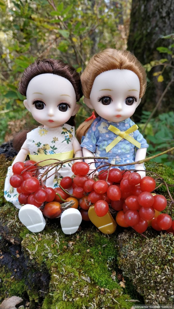 Осенний лес — Игровые куклы разных производителей (Разное): редкие бренды