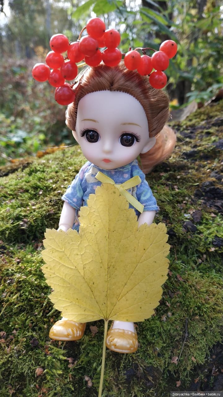 Осенний лес — Игровые куклы разных производителей (Разное): редкие бренды