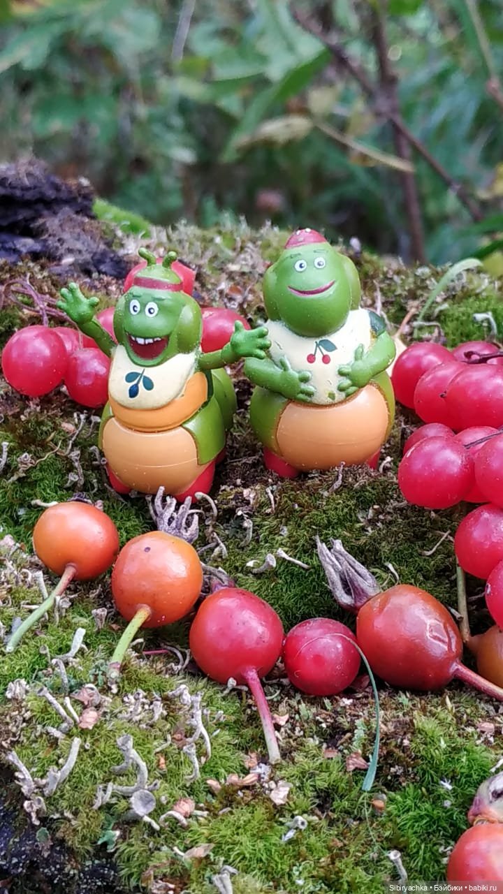 Осенний лес — Игровые куклы разных производителей (Разное): редкие бренды