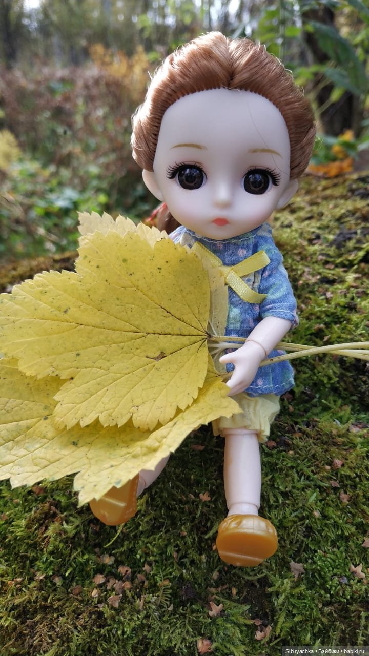 Осенний лес — Игровые куклы разных производителей (Разное): редкие бренды (фото 10)