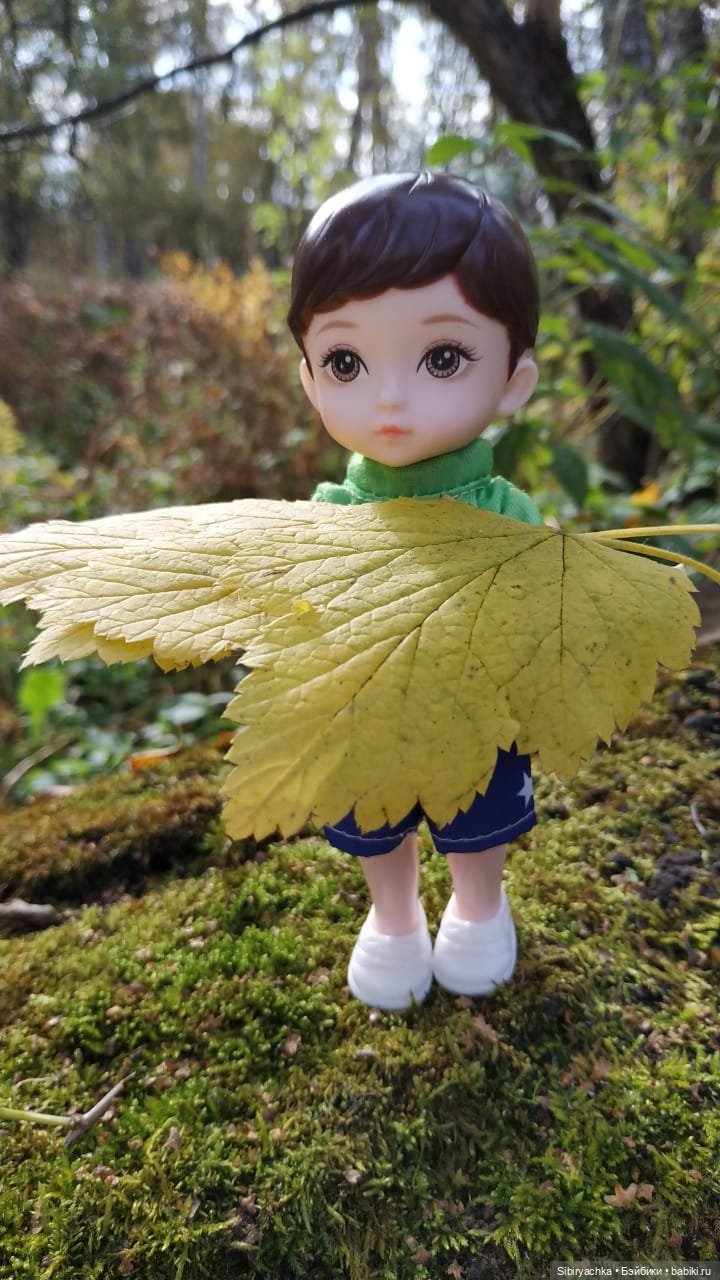 Осенний лес — Игровые куклы разных производителей (Разное): редкие бренды