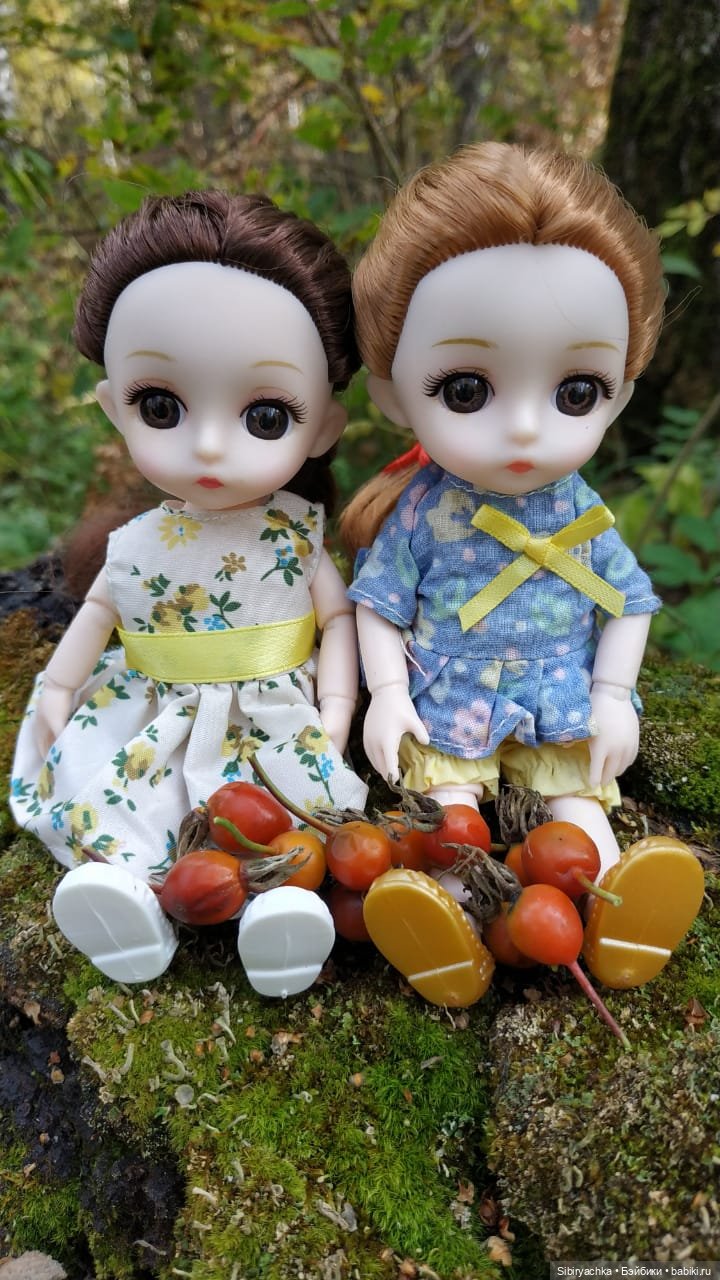 Осенний лес — Игровые куклы разных производителей (Разное): редкие бренды