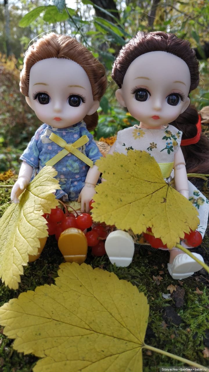 Осенний лес — Игровые куклы разных производителей (Разное): редкие бренды