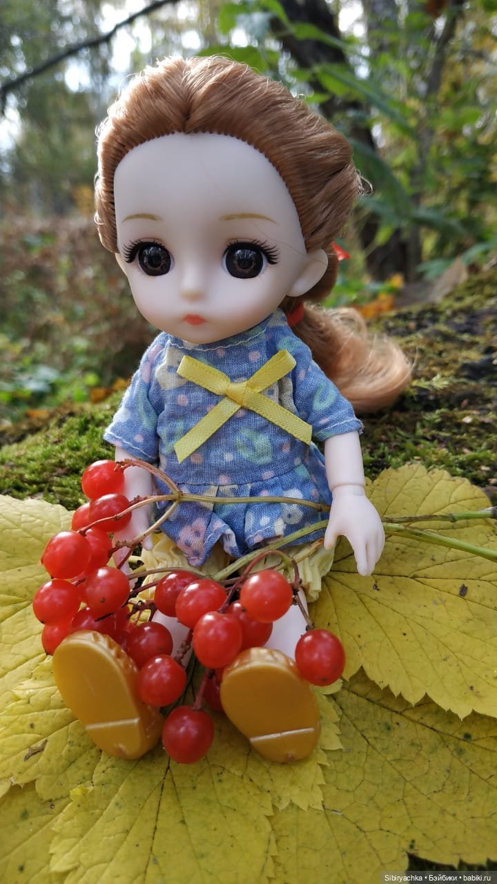 Осенний лес — Игровые куклы разных производителей (Разное): редкие бренды