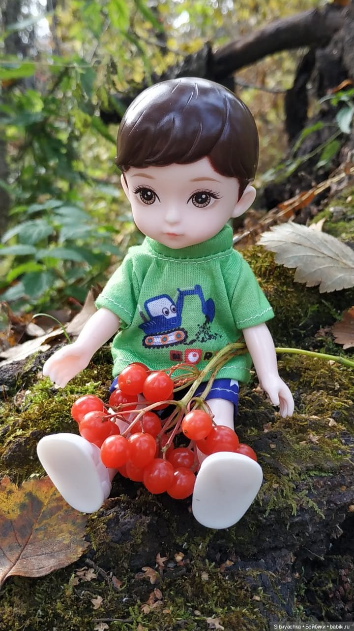 Осенний лес — Игровые куклы разных производителей (Разное): редкие бренды