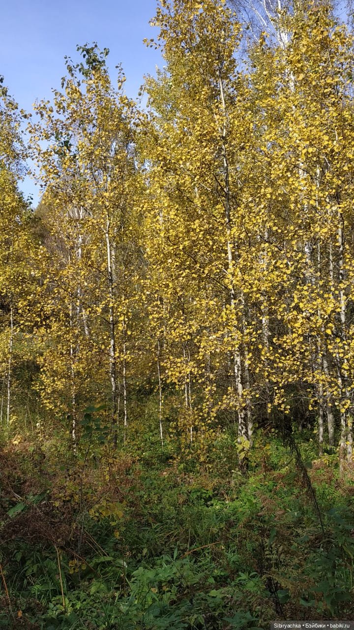 Глаша и Луша встретились с Иваном и Марьей