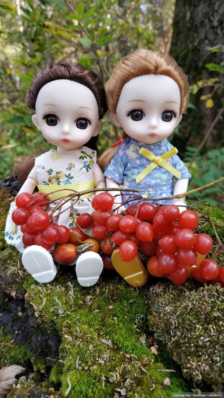 Калина красная — Игровые куклы разных производителей (Разное): редкие бренды (фото 10)