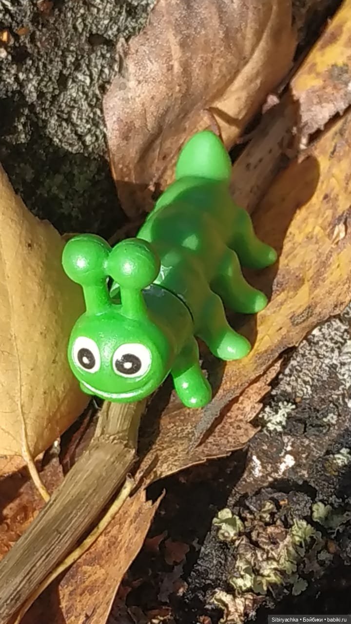 Лесная прогулка — Игровые куклы разных производителей (Разное): редкие бренды (фото 6)