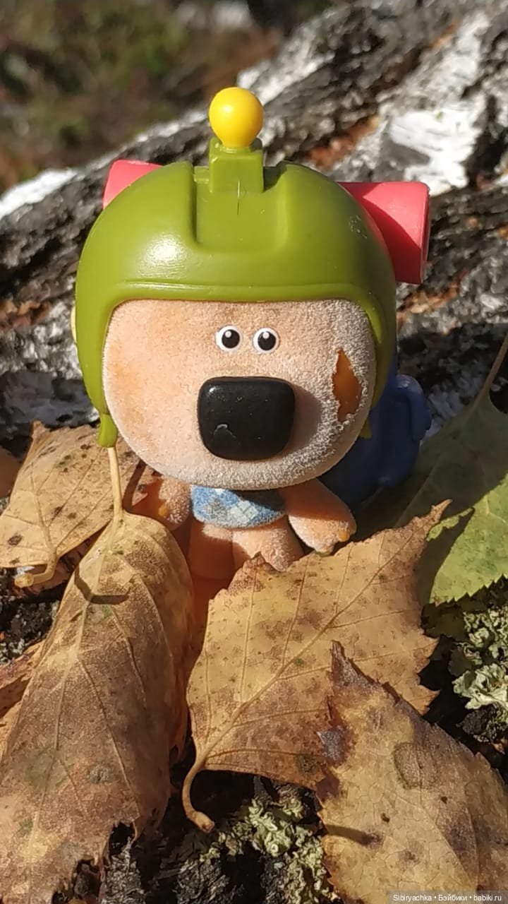 Лесная прогулка — Игровые куклы разных производителей (Разное): редкие бренды (фото 8)