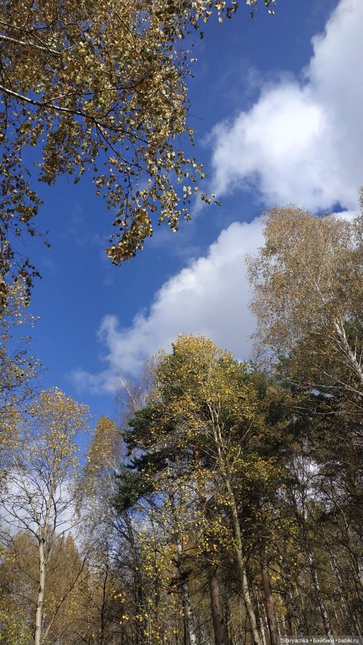 Лесная прогулка — Игровые куклы разных производителей (Разное): редкие бренды