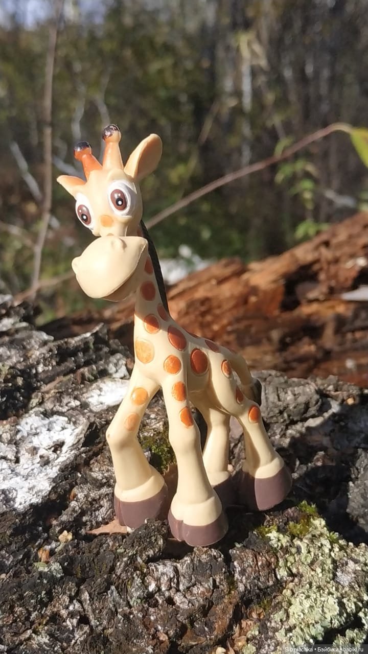 Лесная прогулка — Игровые куклы разных производителей (Разное): редкие бренды