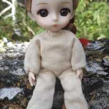 Лесная прогулка.