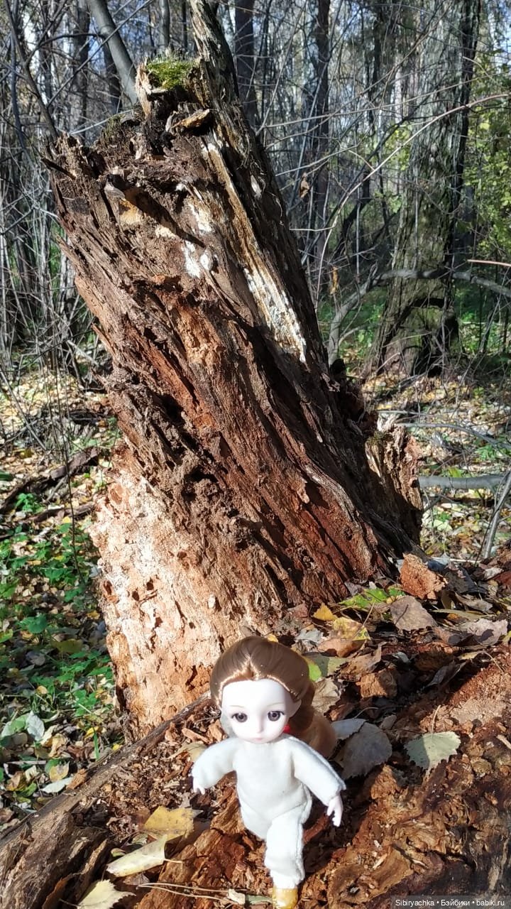 Глаша и Луша опять гуляют