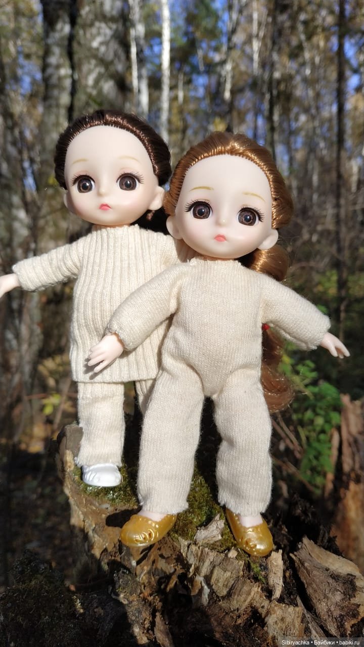 Глаша и Луша опять гуляют (фото 6)