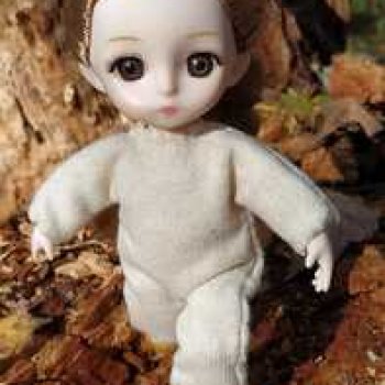 Глаша и Луша опять гуляют.