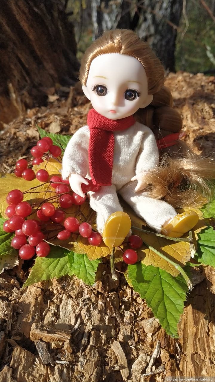 Красота осеннего леса — Игровые куклы разных производителей (Разное): редкие бренды