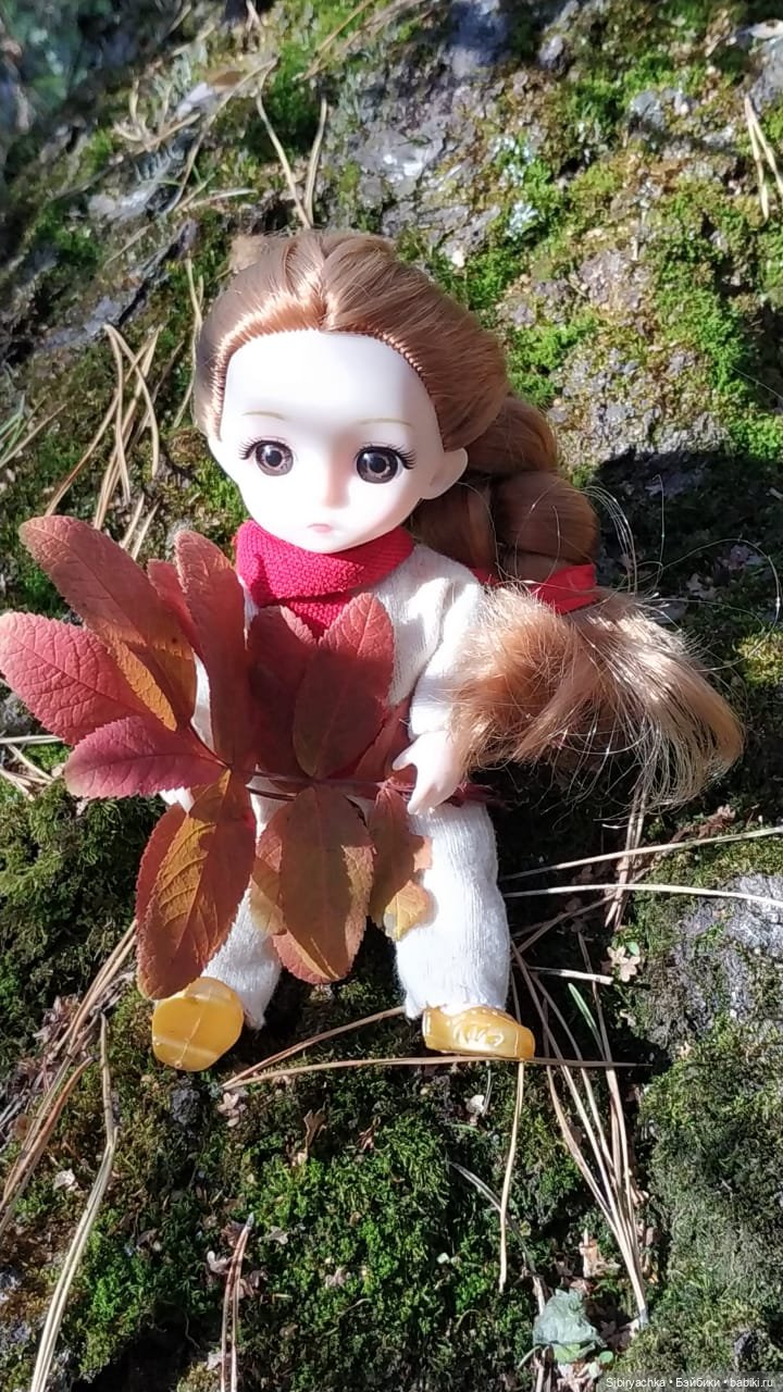 Красота осеннего леса — Игровые куклы разных производителей (Разное): редкие бренды