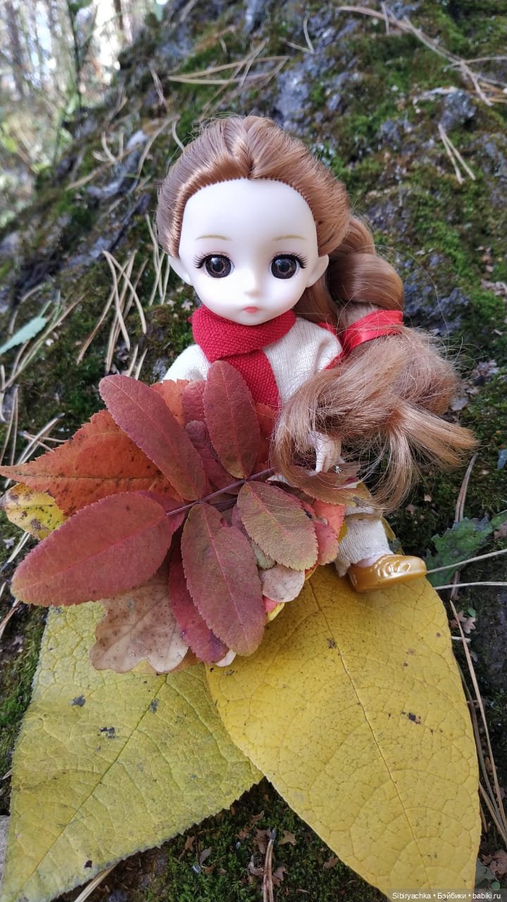 Красота осеннего леса — Игровые куклы разных производителей (Разное): редкие бренды