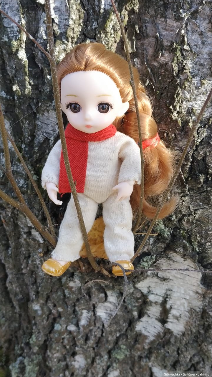 Красота осеннего леса — Игровые куклы разных производителей (Разное): редкие бренды (фото 10)