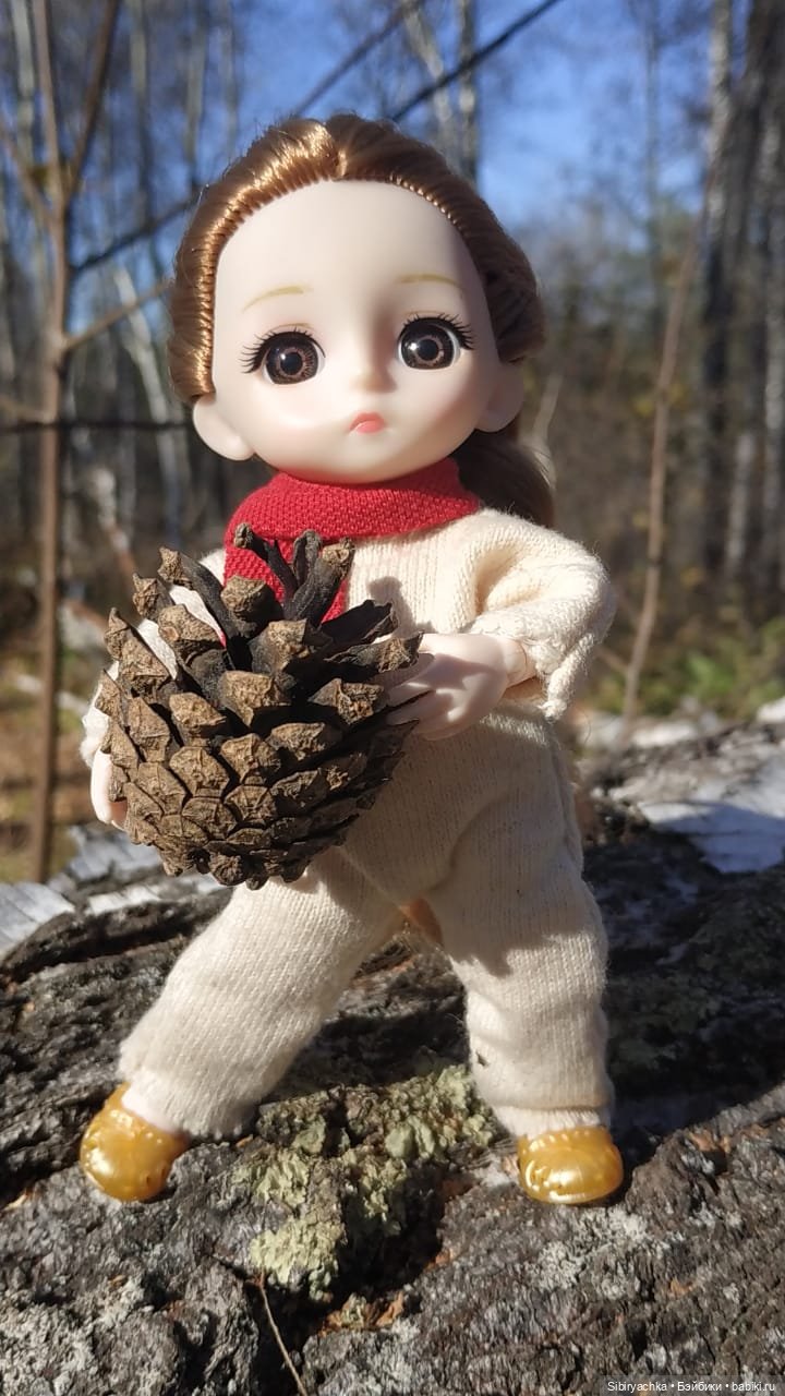 Красота осеннего леса — Игровые куклы разных производителей (Разное): редкие бренды (фото 2)