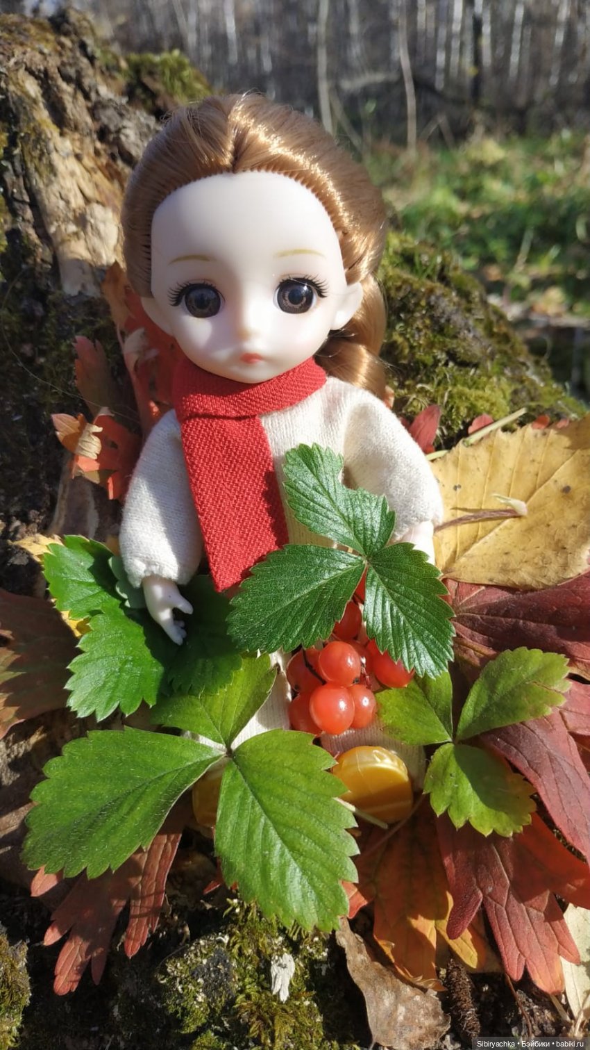 Красота осеннего леса — Игровые куклы разных производителей (Разное): редкие бренды (фото 7)