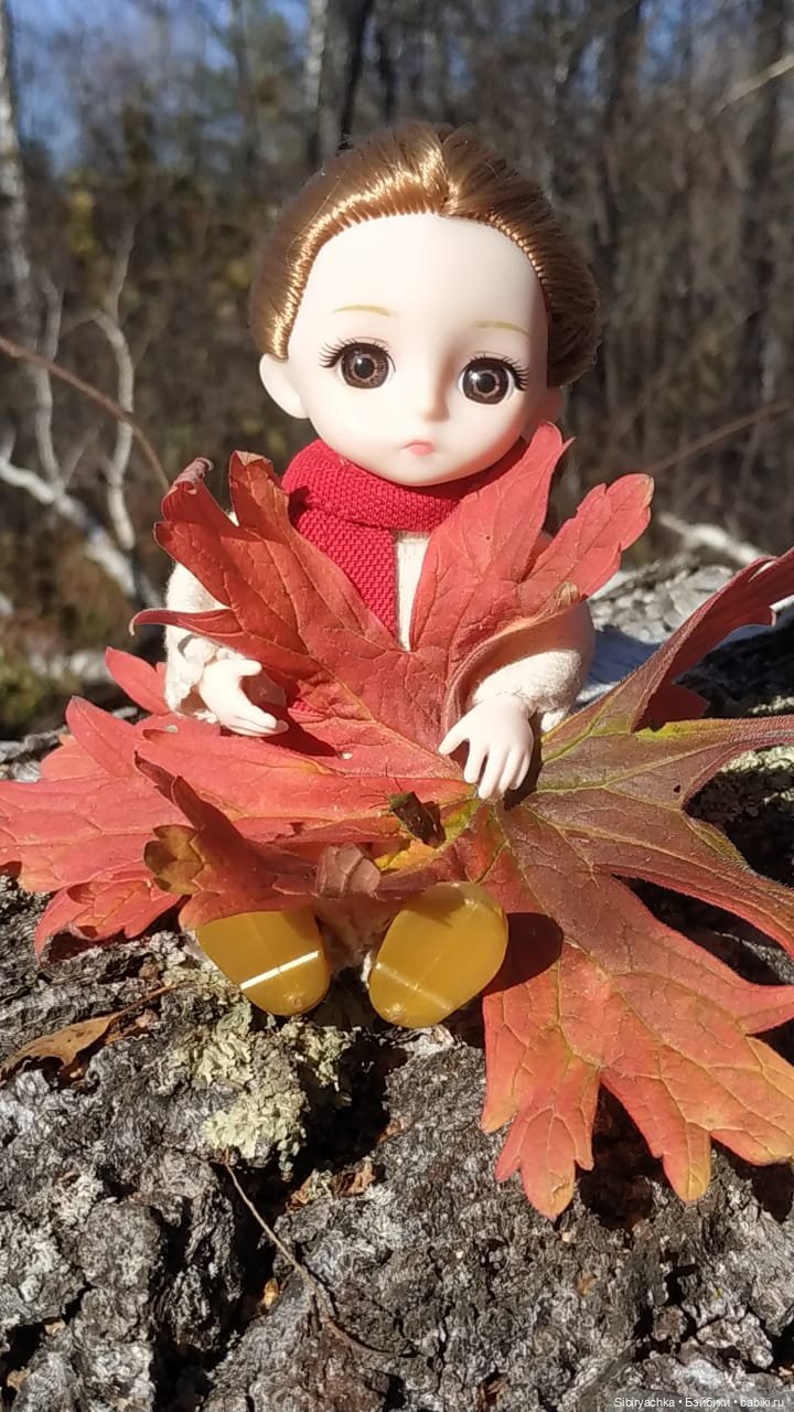 Красота осеннего леса — Игровые куклы разных производителей (Разное): редкие бренды