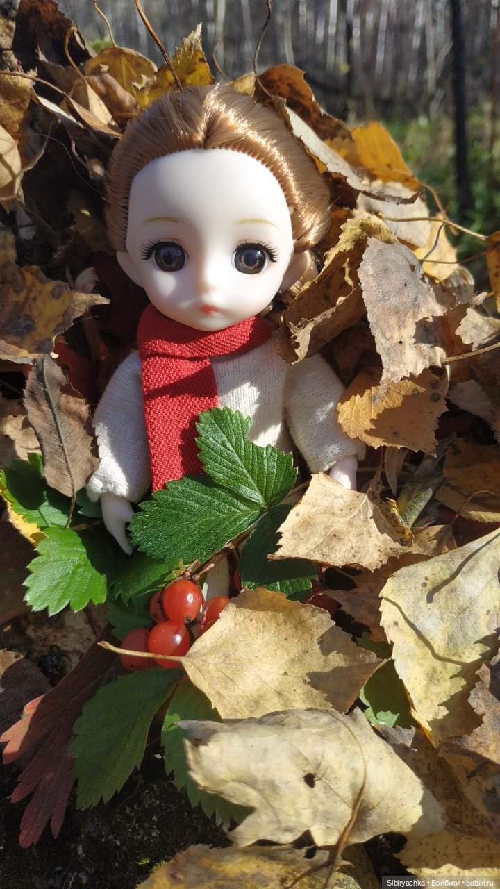 Красота осеннего леса — Игровые куклы разных производителей (Разное): редкие бренды (фото 9)