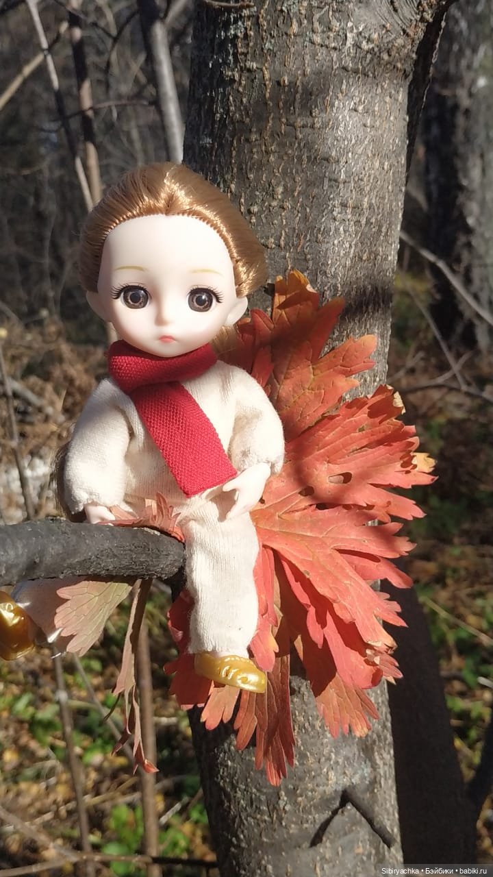 Красота осеннего леса — Игровые куклы разных производителей (Разное): редкие бренды (фото 3)