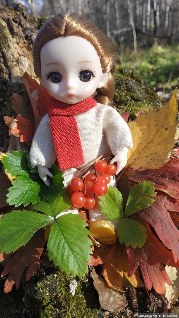 Красота осеннего леса — Игровые куклы разных производителей (Разное): редкие бренды (фото 6)