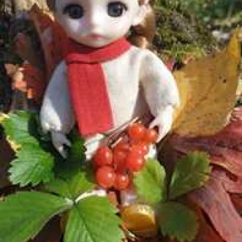 Красота осеннего леса