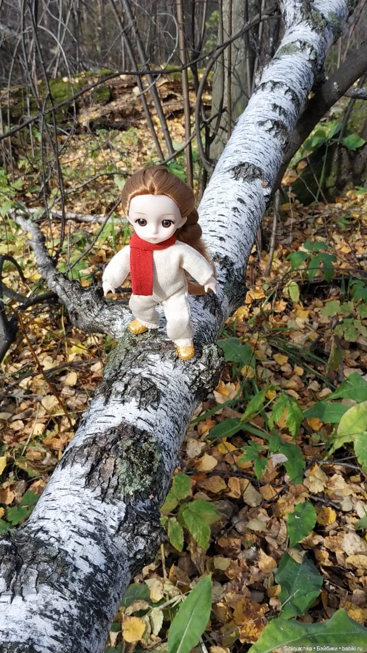 Не уходи, осень — Игровые куклы разных производителей (Разное): редкие бренды (фото 8)