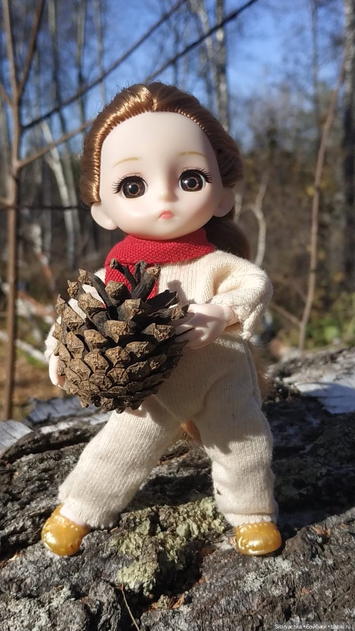 Не уходи, осень — Игровые куклы разных производителей (Разное): редкие бренды (фото 2)